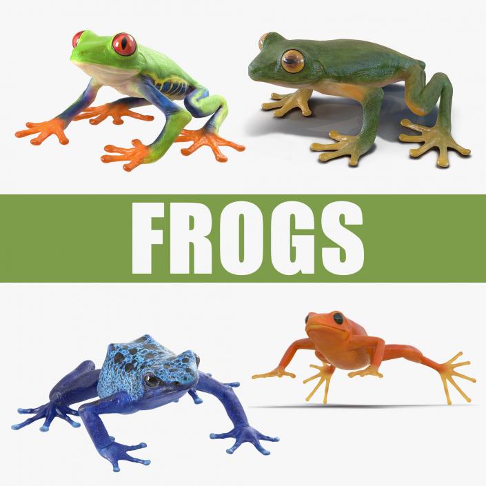 Frogs 3D Model Collection 2 3D