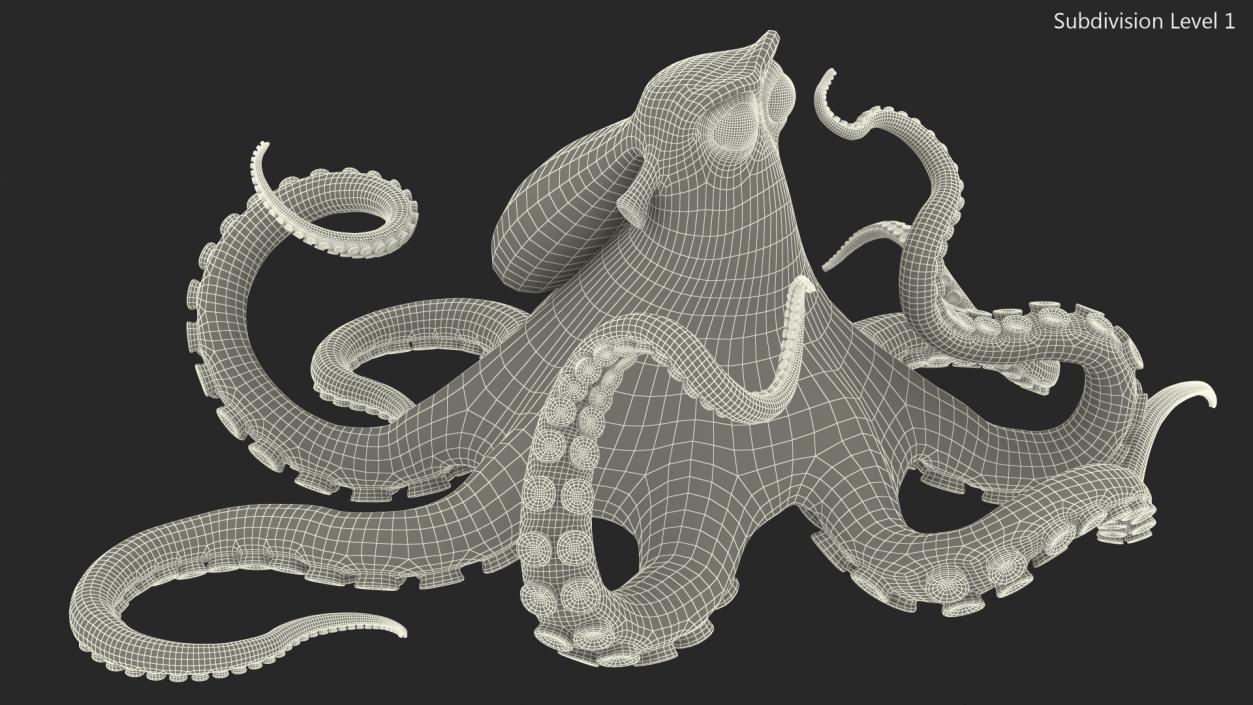 Cartoon Octopus Moving Pose 3D