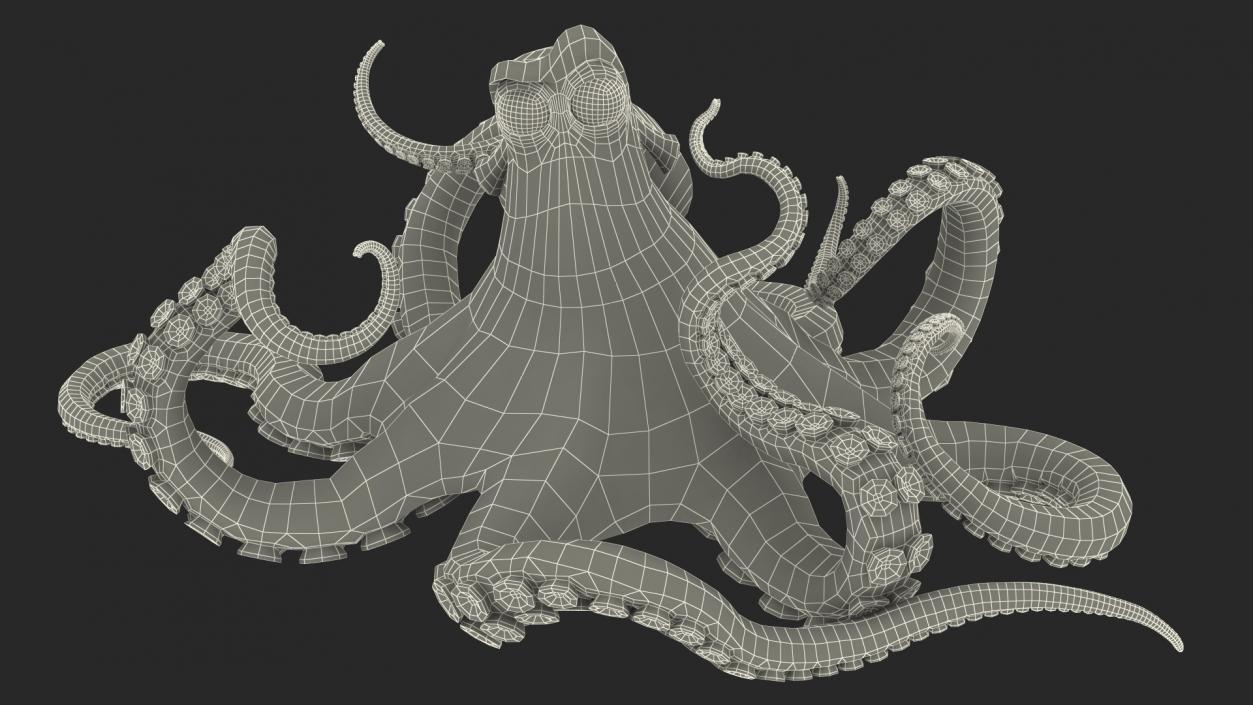 Cartoon Octopus Moving Pose 3D