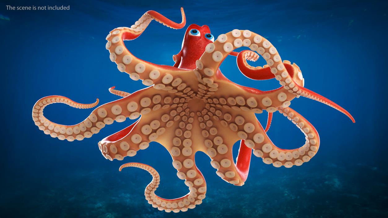 Cartoon Octopus Moving Pose 3D