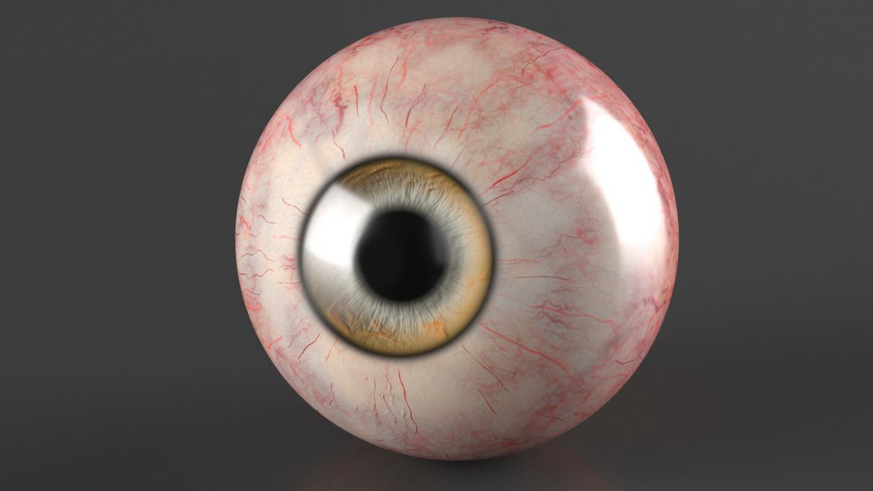 Realistic Animal Eyes Collection 4 3D model