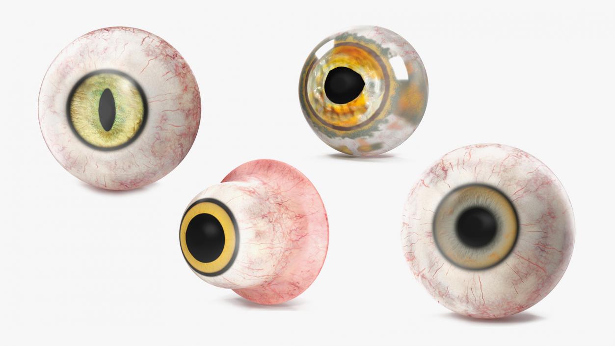 Realistic Animal Eyes Collection 4 3D model