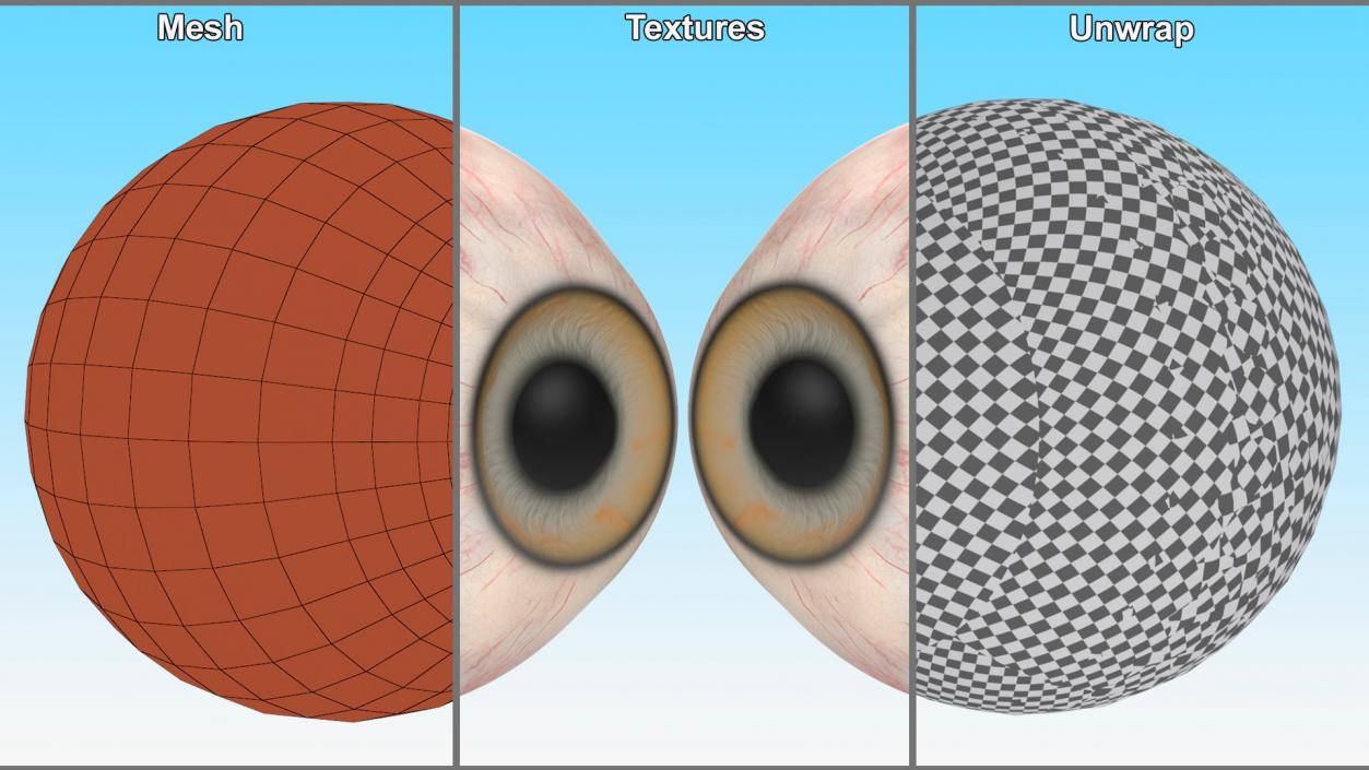 Realistic Animal Eyes Collection 4 3D model