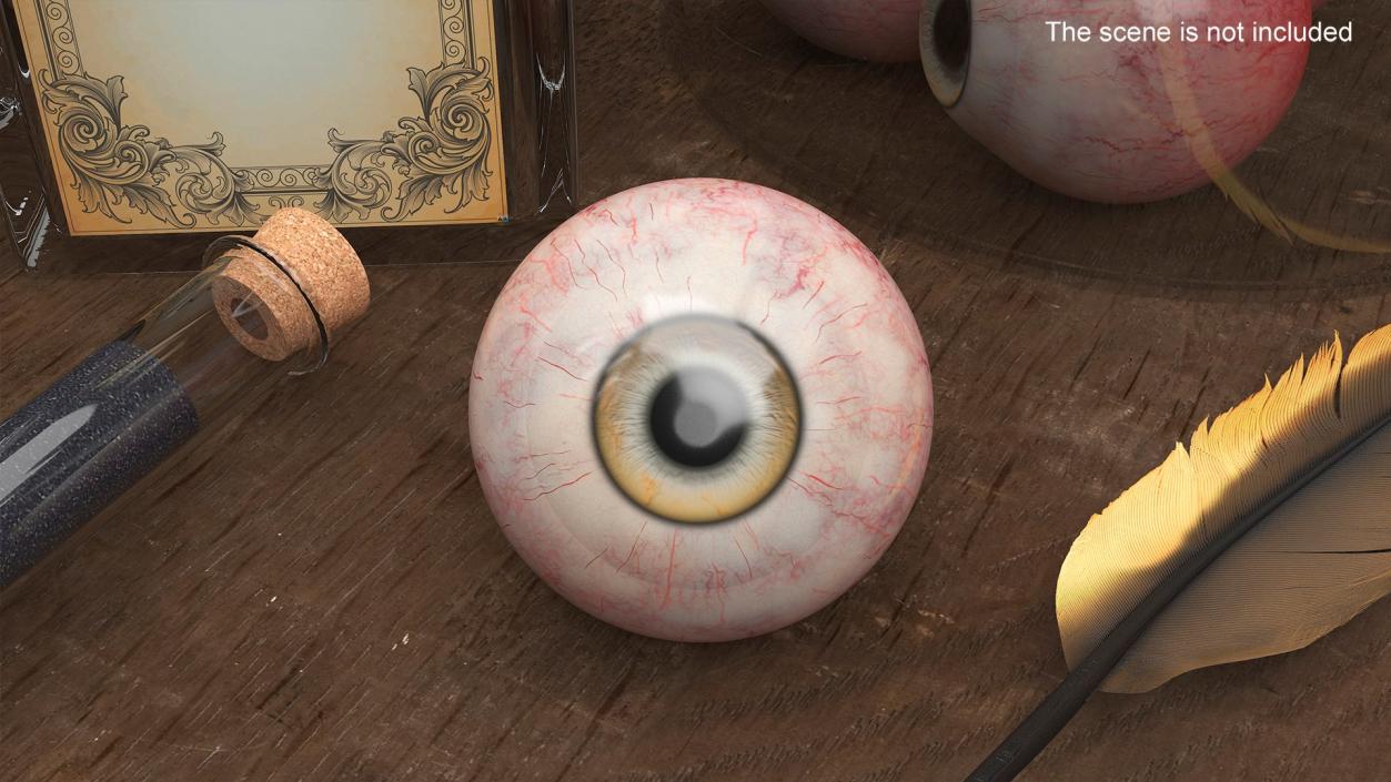 Realistic Animal Eyes Collection 4 3D model