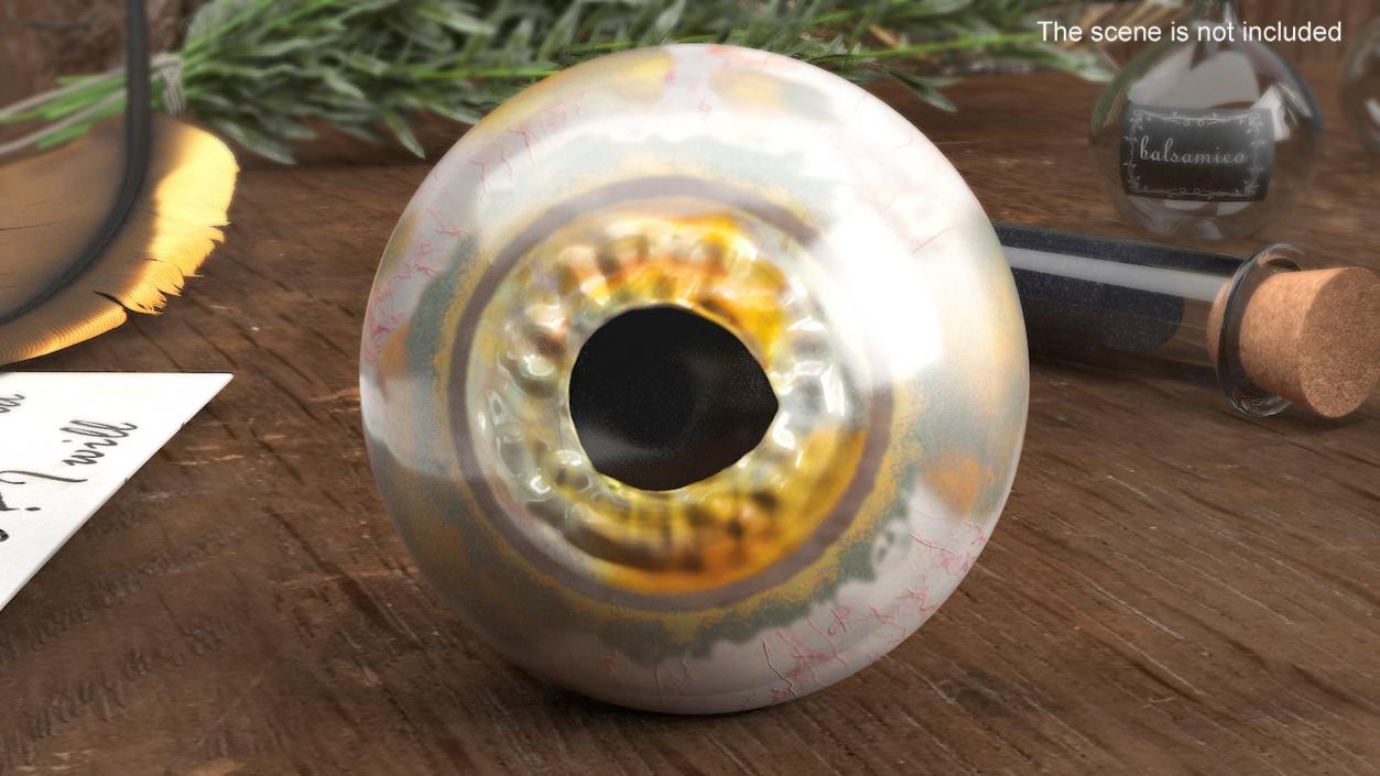 Realistic Animal Eyes Collection 4 3D model