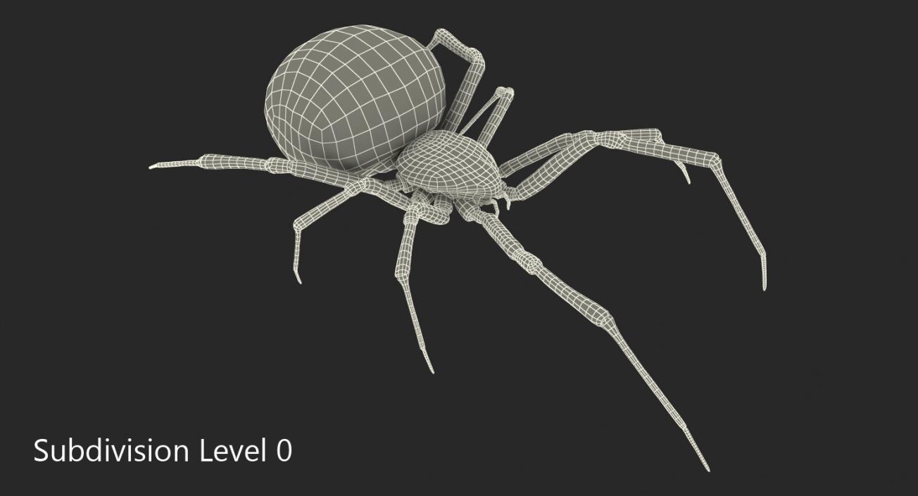 3D Widow Spider with Fur