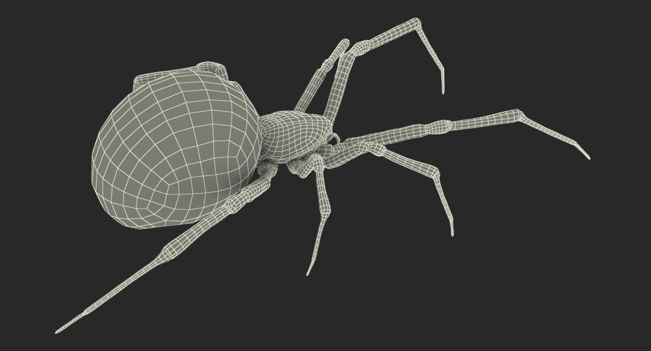 3D Widow Spider with Fur