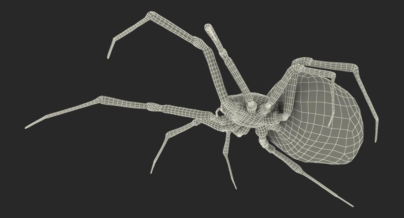 3D Widow Spider with Fur