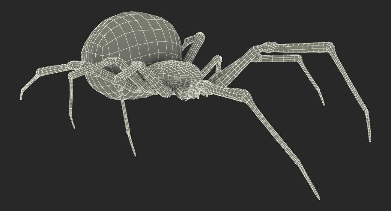 3D Widow Spider with Fur