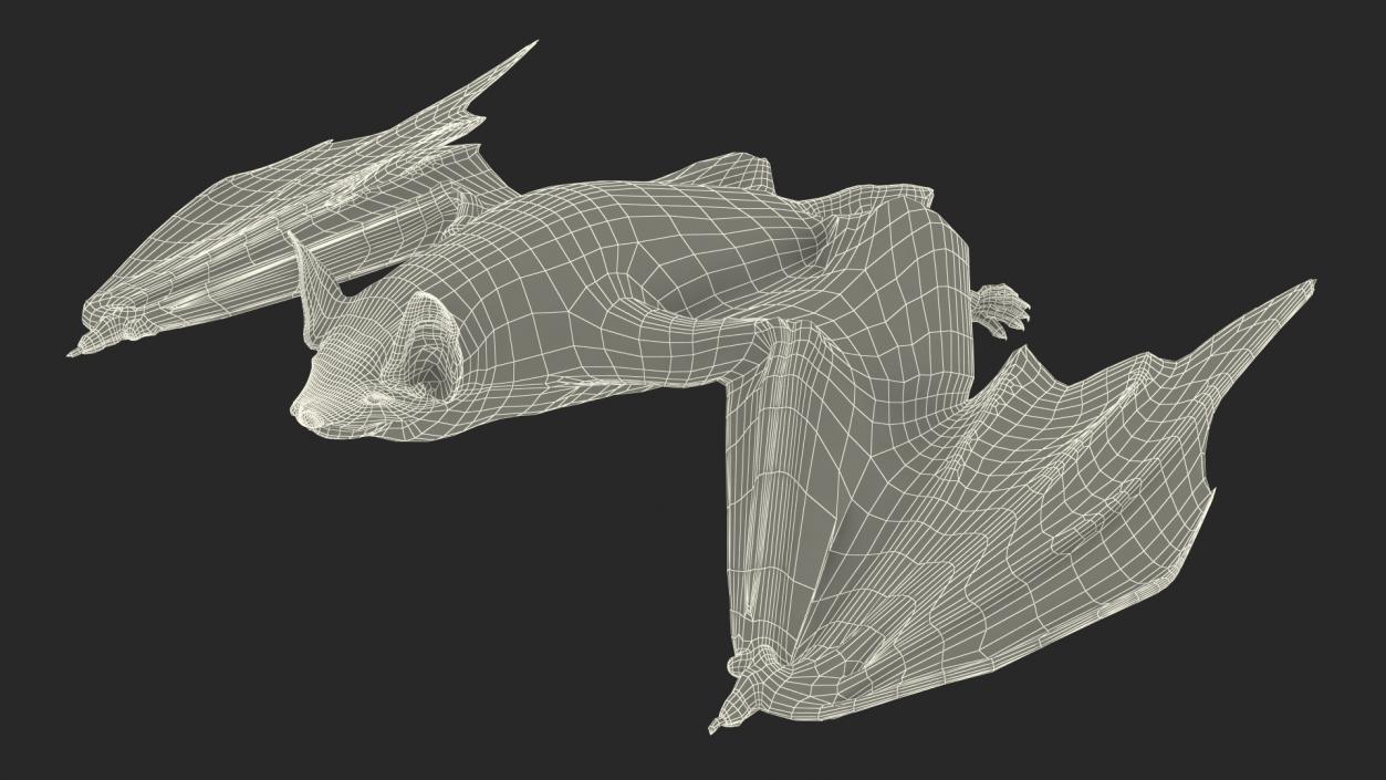 3D Black Bat Pose Fur model