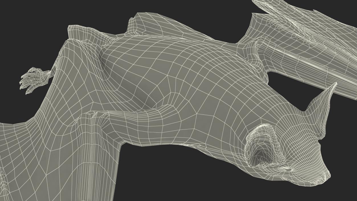 3D Black Bat Pose Fur model