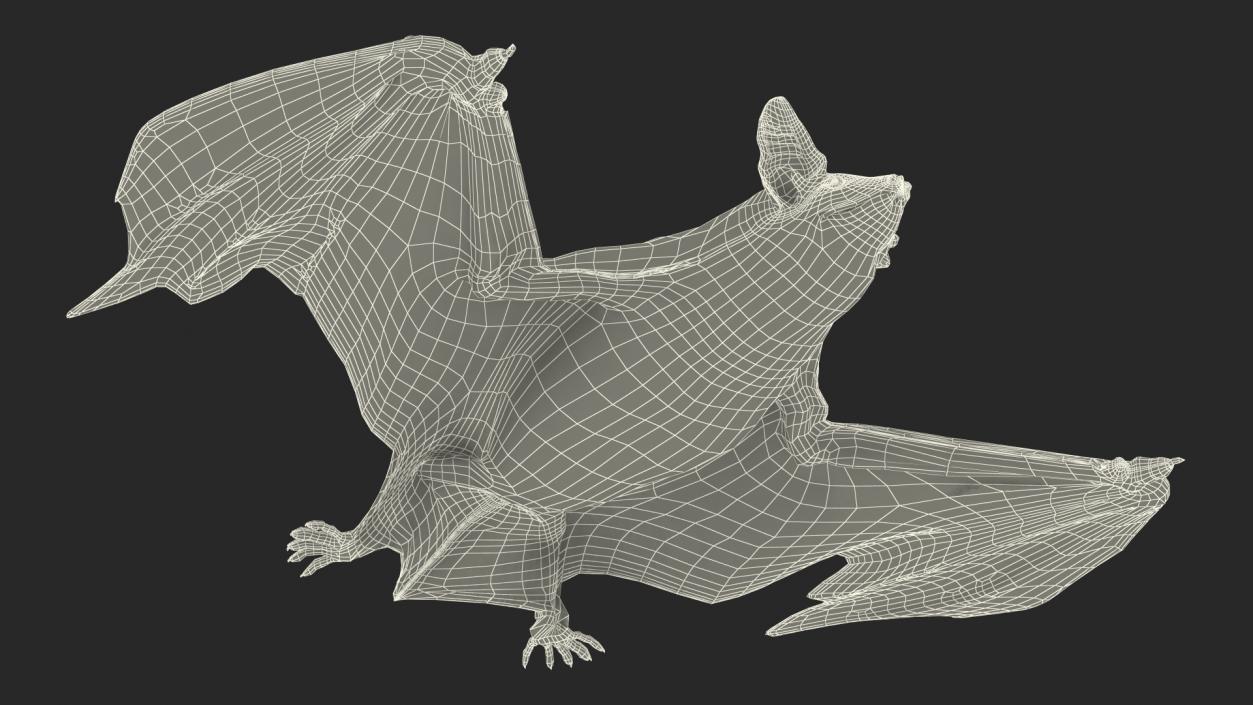 3D Black Bat Pose Fur model