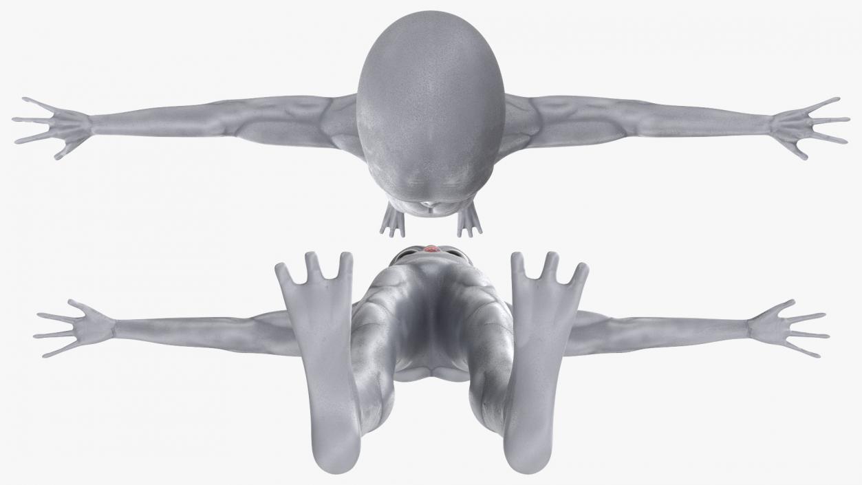 Alien 3D model