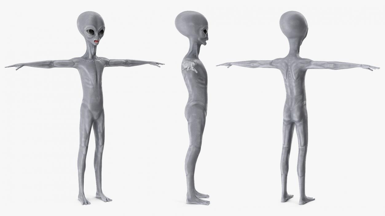 Alien 3D model