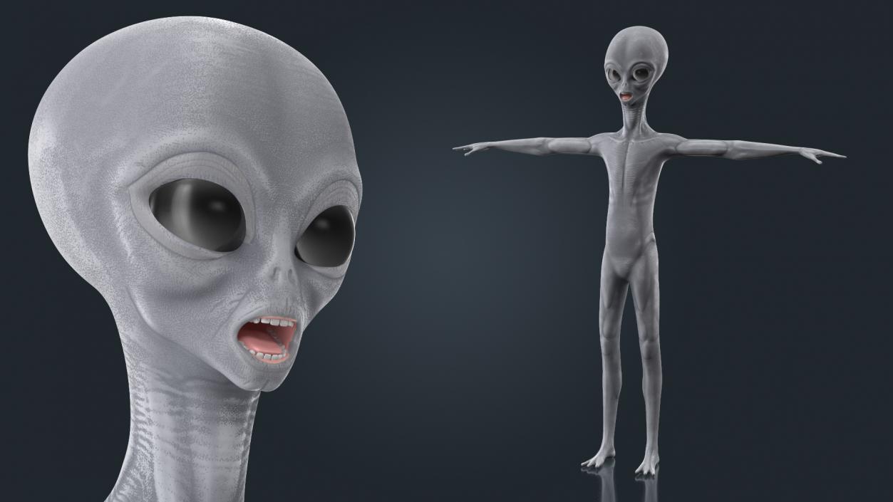 Alien 3D model