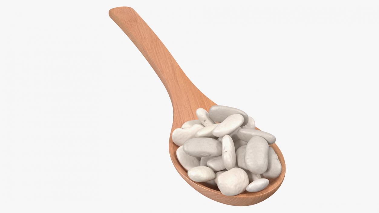 3D Wooden Spoon with White Pea Beans model