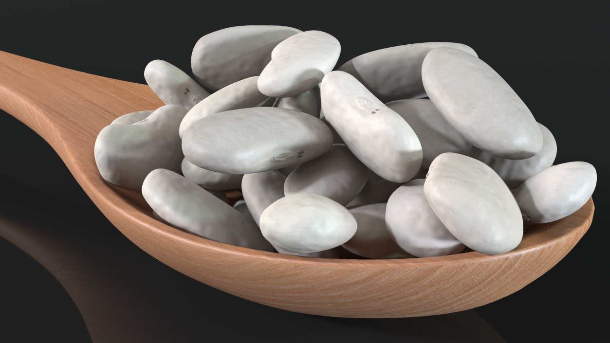 3D Wooden Spoon with White Pea Beans model