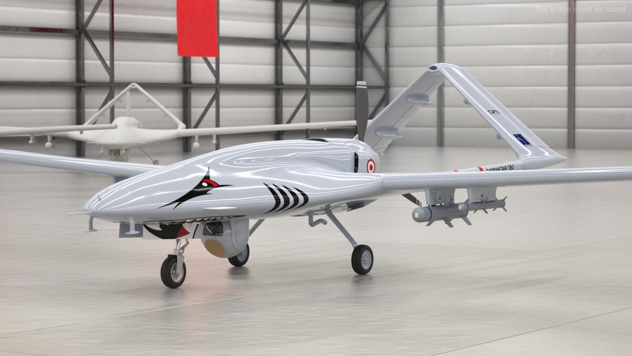 Bayraktar TB2 Unmanned Combat Aerial Vehicle 3D model