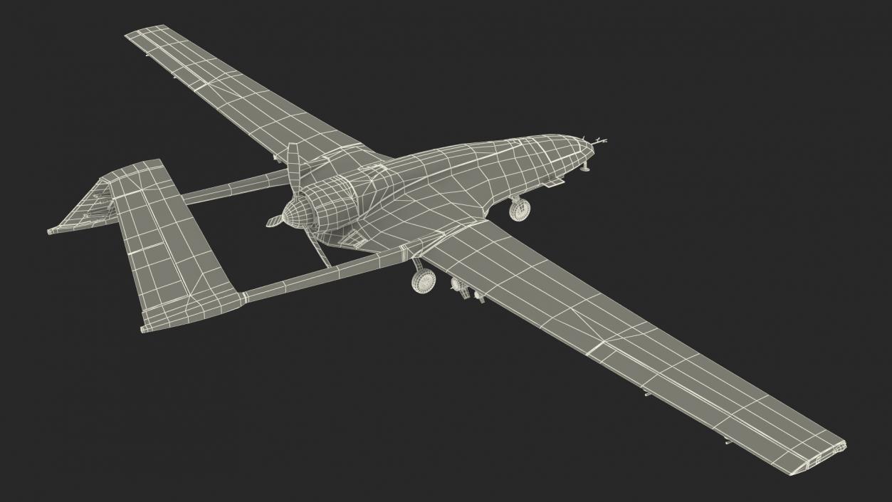 Bayraktar TB2 Unmanned Combat Aerial Vehicle 3D model