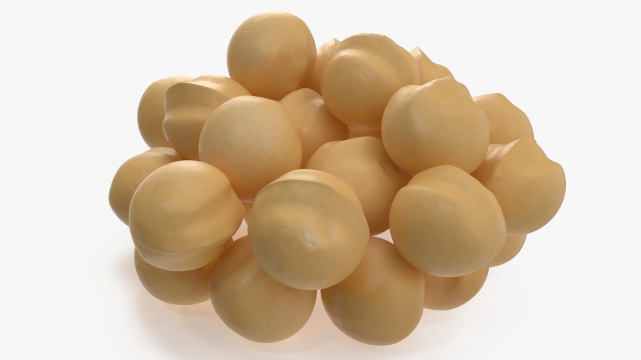 3D Wooden Bowl of Peeled Macadamia Nuts