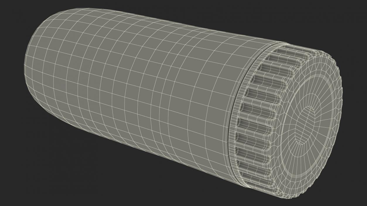 Symbicort Asthma Inhaler 3D model