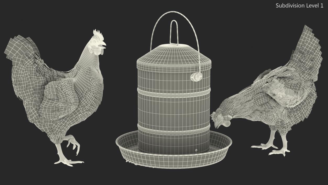 3D model Poultry Feeder with Chickens Rigged