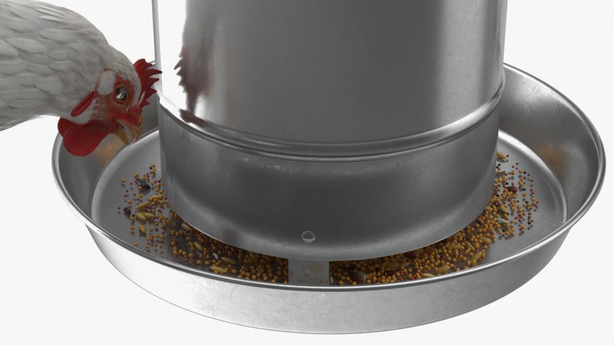 3D model Poultry Feeder with Chickens Rigged