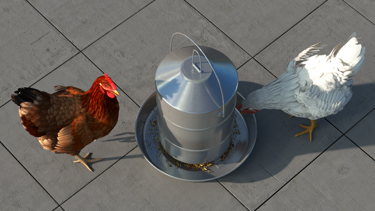 3D model Poultry Feeder with Chickens Rigged