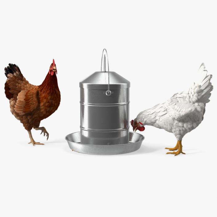 3D model Poultry Feeder with Chickens Rigged