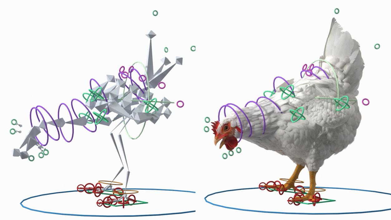 3D model Poultry Feeder with Chickens Rigged