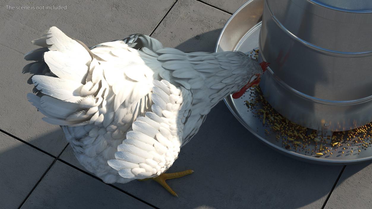 3D model Poultry Feeder with Chickens Rigged