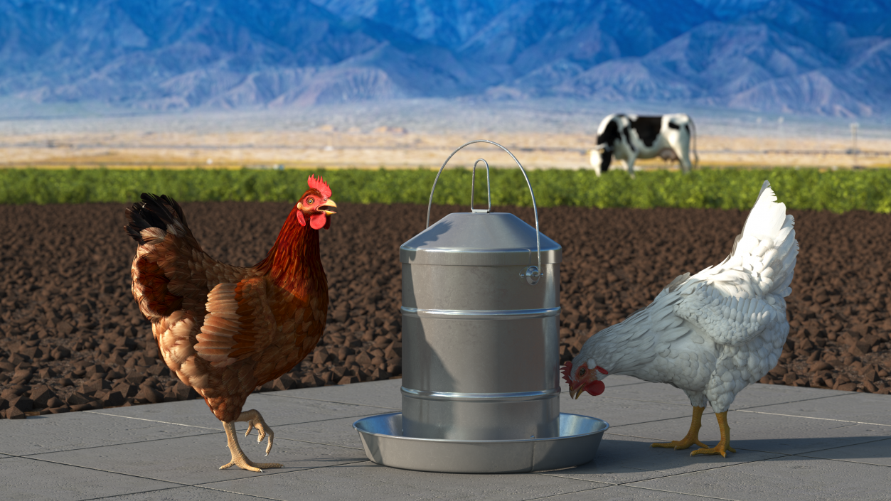 3D model Poultry Feeder with Chickens Rigged