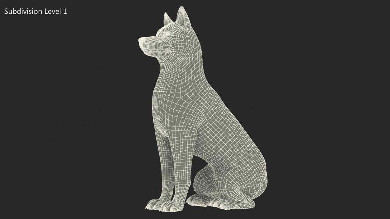 3D Sitting Siberian Husky Copper and White Fur model