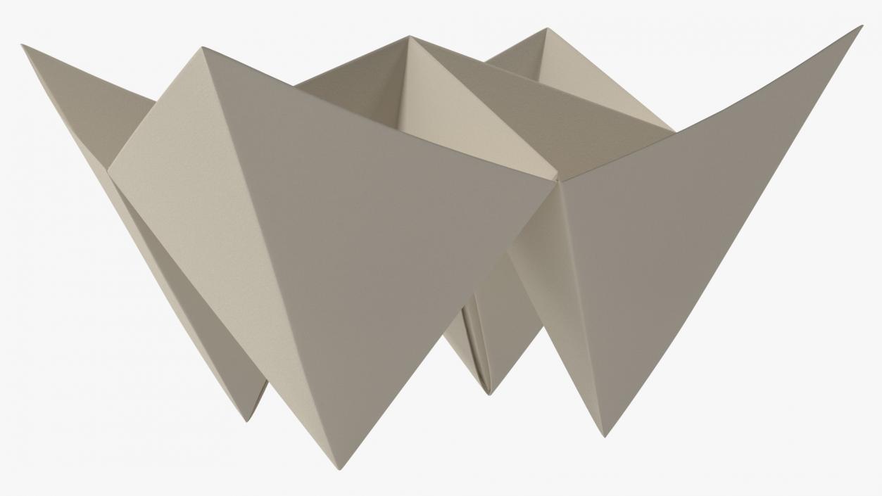 Cootie Catcher Origami 3D