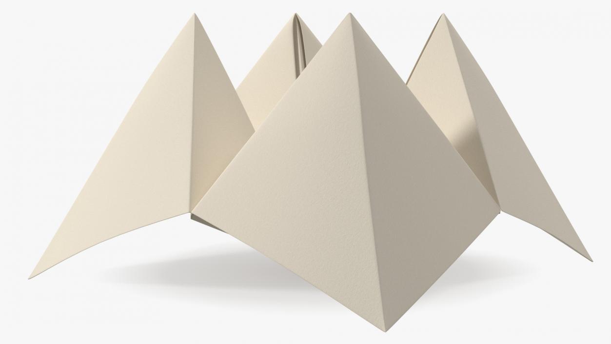 Cootie Catcher Origami 3D