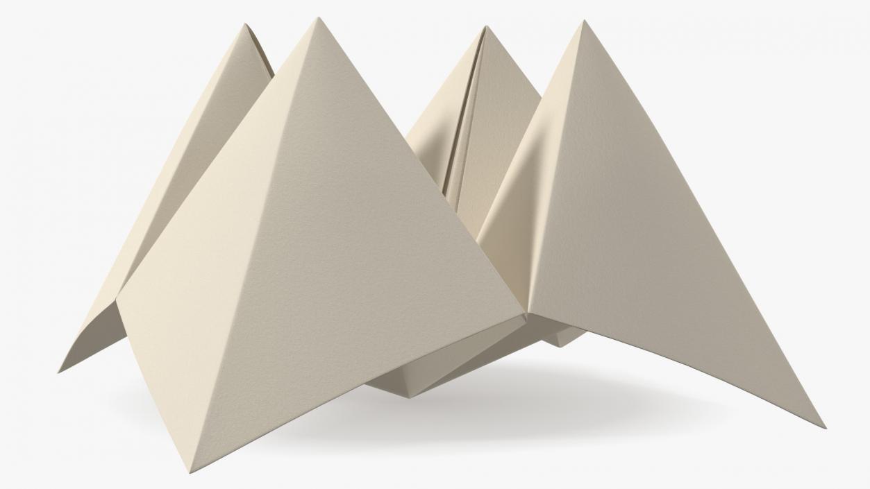 Cootie Catcher Origami 3D