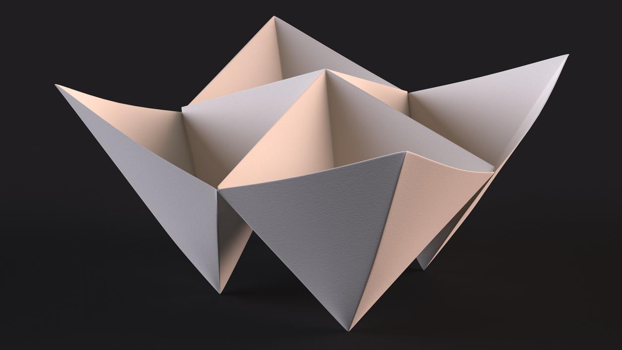 Cootie Catcher Origami 3D