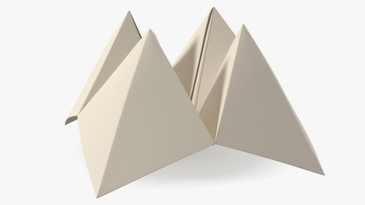 Cootie Catcher Origami 3D