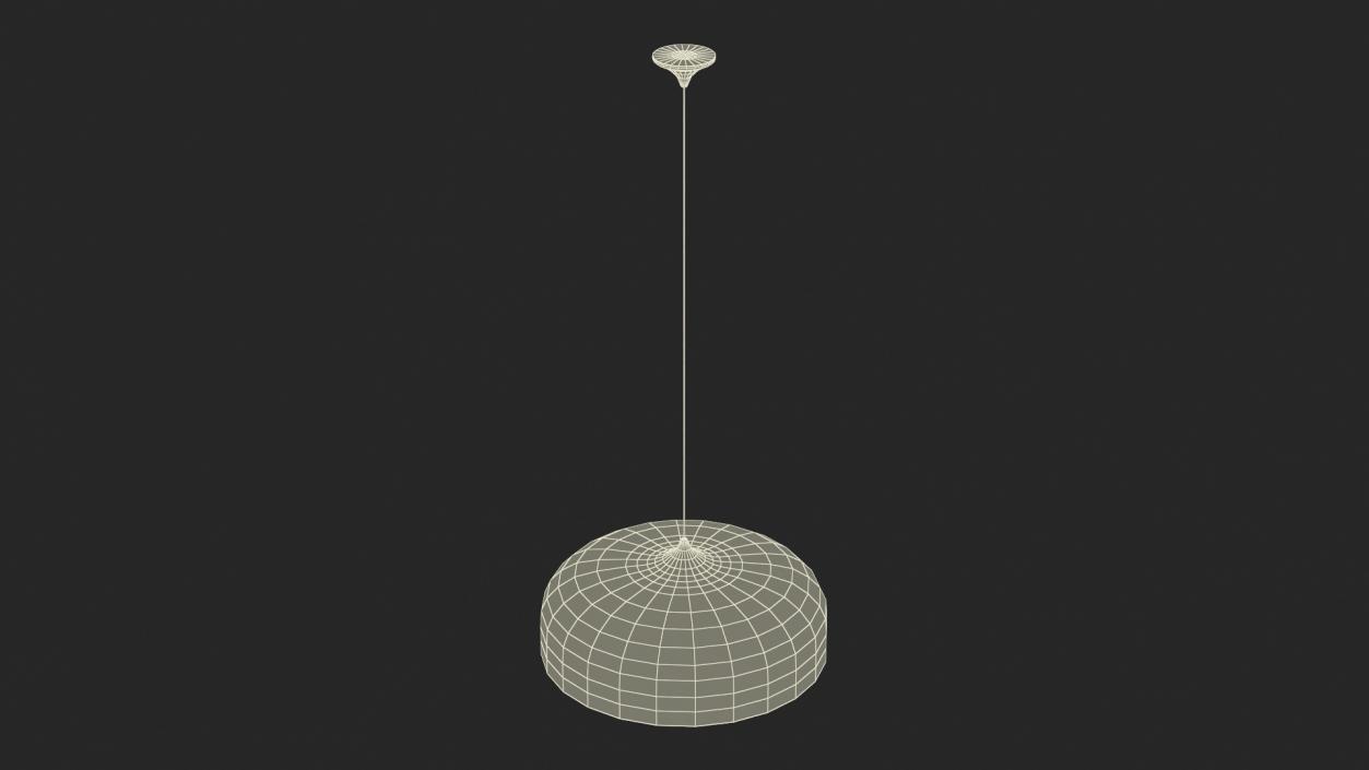 Modern Hanging Pendant Lamp 2 3D model