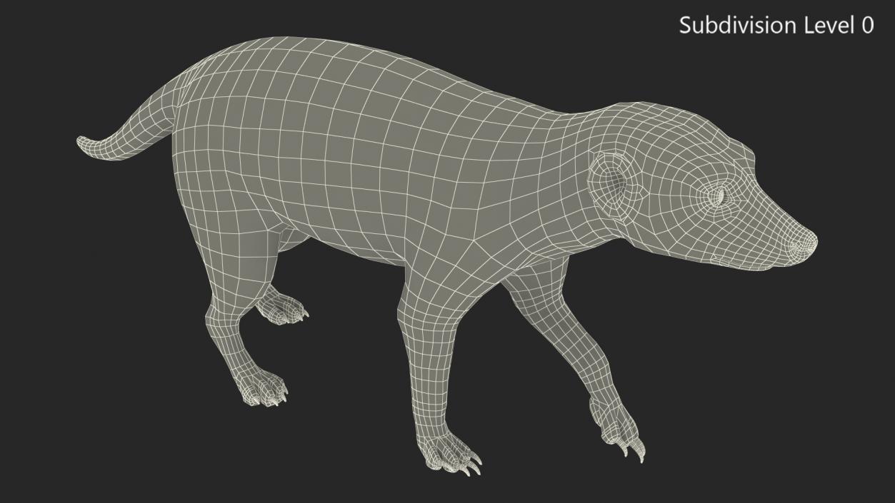 Meerkat Walking Pose Fur 3D model