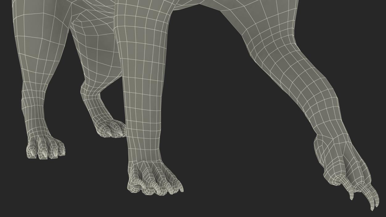 Meerkat Walking Pose Fur 3D model