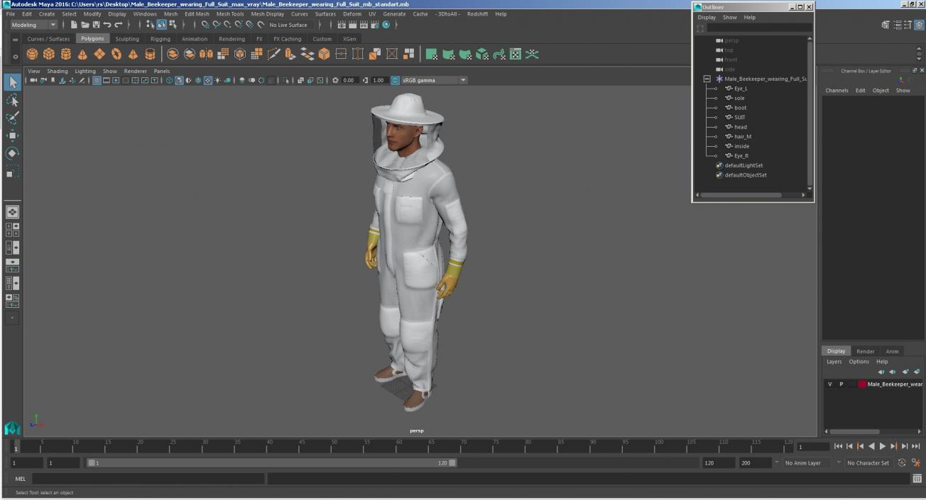 Male Beekeeper wearing Full Suit 3D