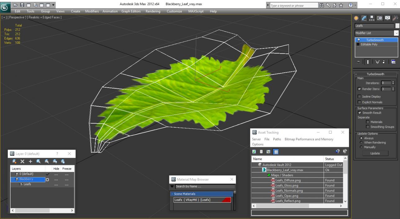 3D model Blackberry Leaf