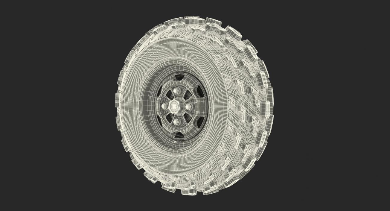 3D Wheels Big 3D Models Collection 3 model