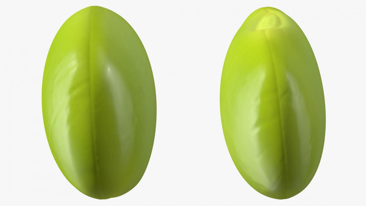 3D Green Soybean model