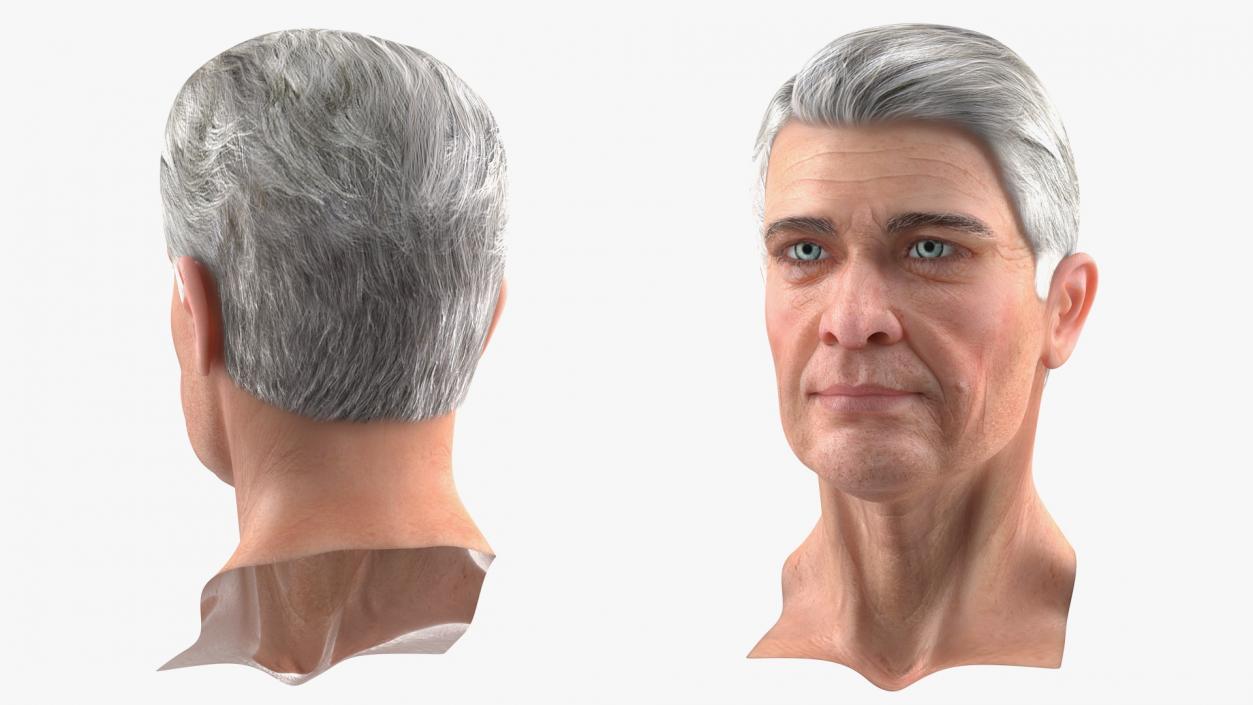 3D Elderly Man Head