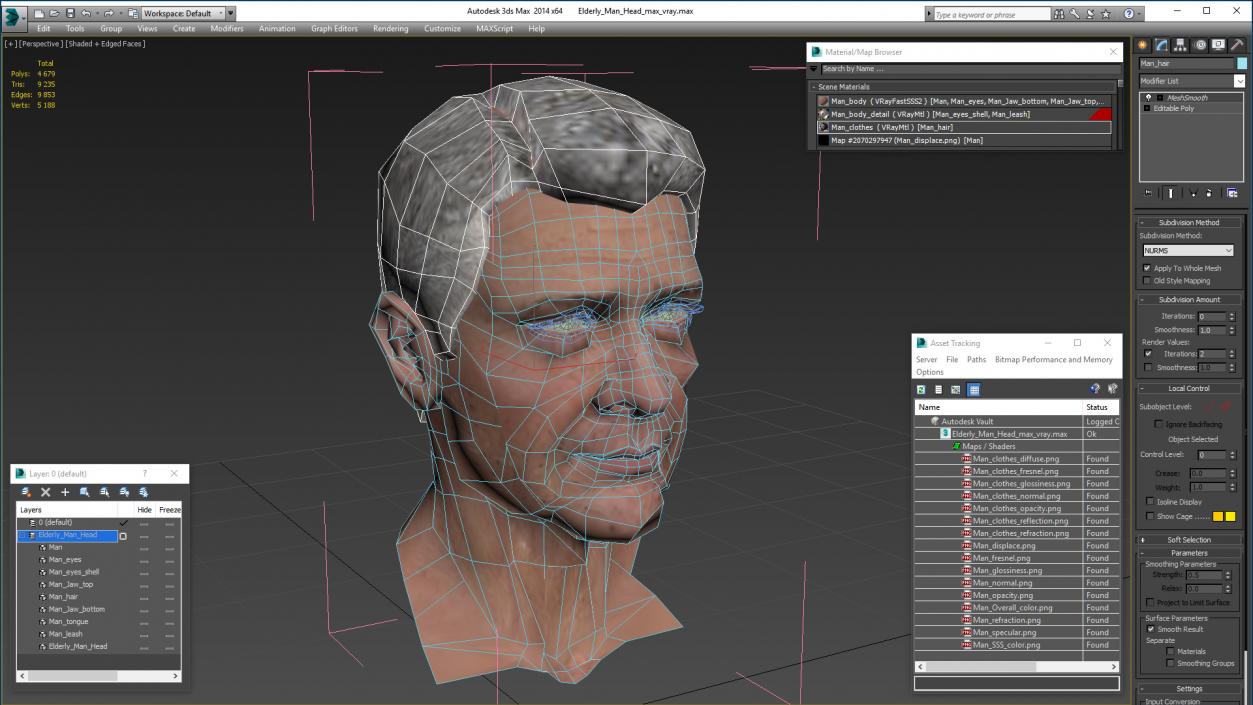 3D Elderly Man Head