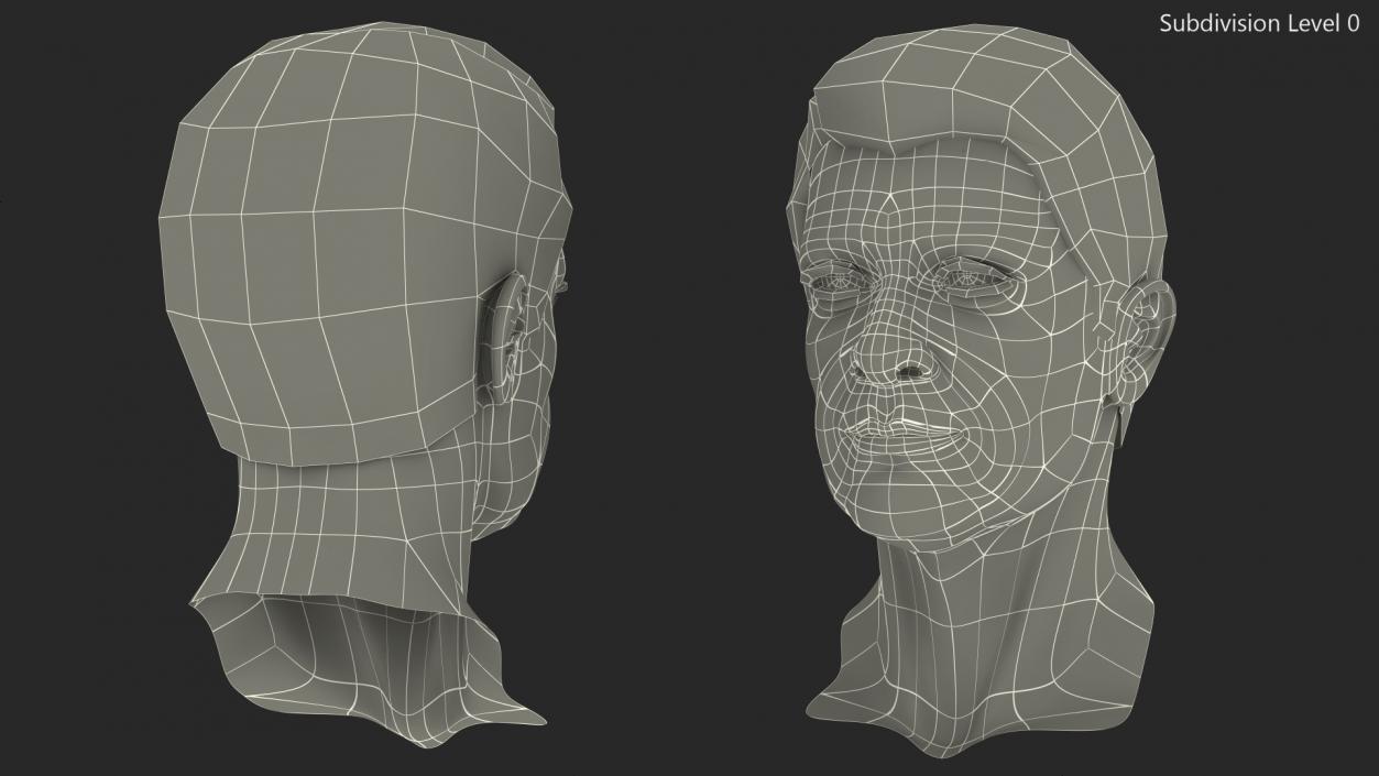 3D Elderly Man Head