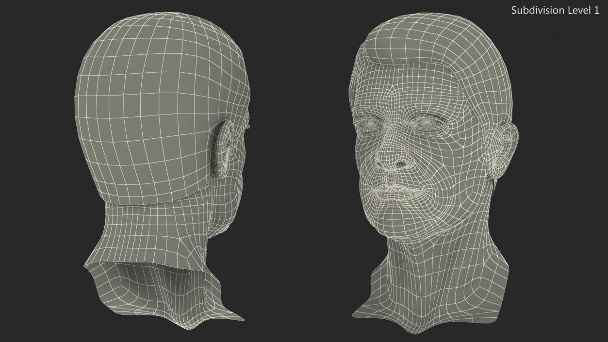 3D Elderly Man Head