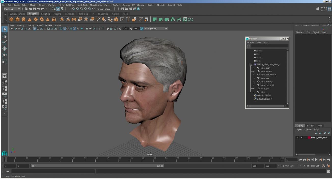 3D Elderly Man Head